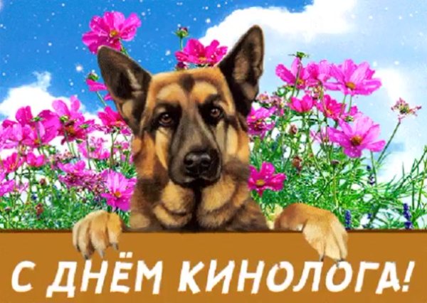 Поздравление собаке