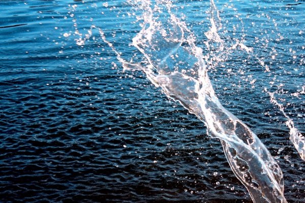 День воды