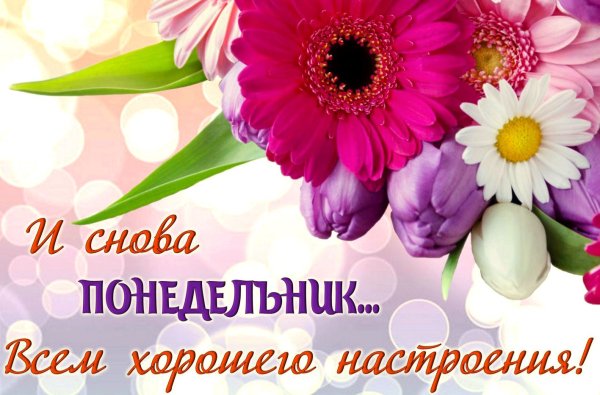 Поздравление с понедельником