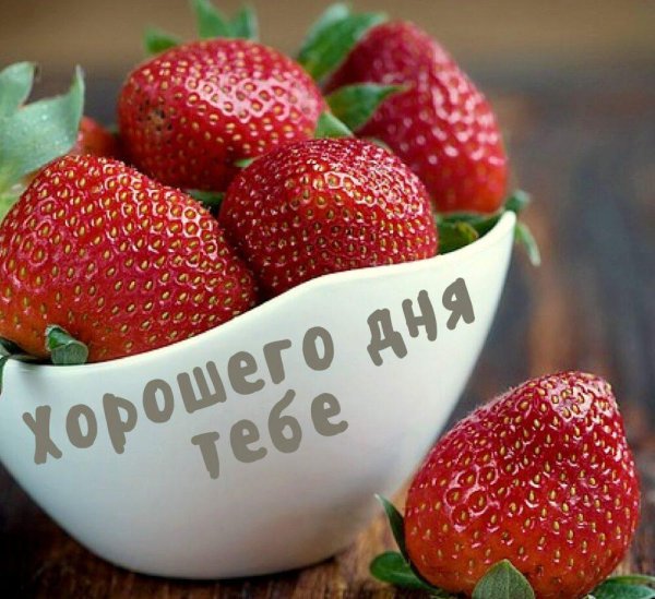 Отличного дня