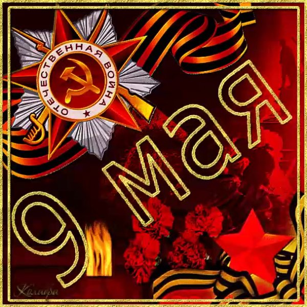 Тюльпан с днем Победы!