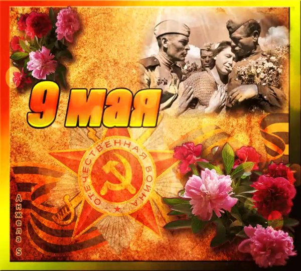 Тюльпан с днем Победы!