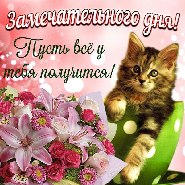 Доброго дня и прекрасного