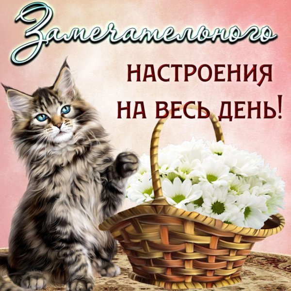 Открытки хорошего дня и настроения
