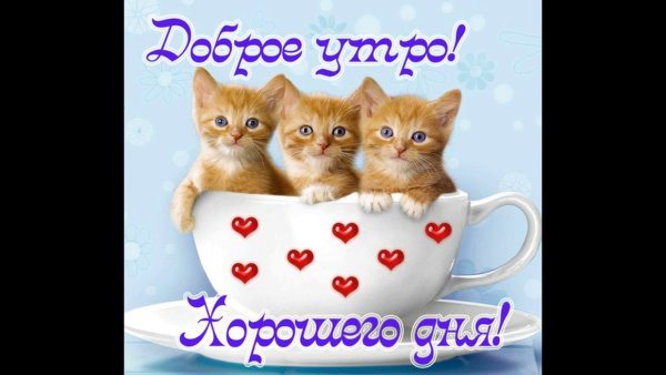 Пожелания доброго утра
