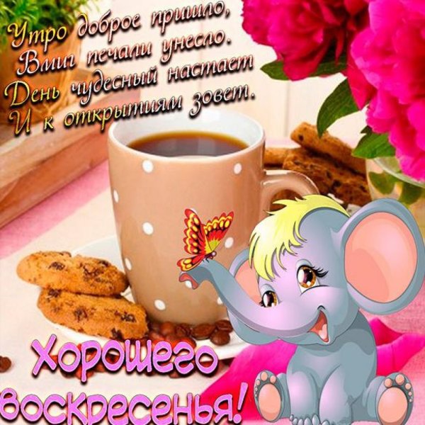Открытки с добрым утром воскресенья