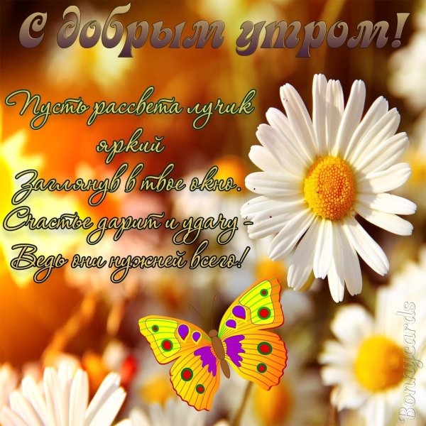 Открытки с добрым утром