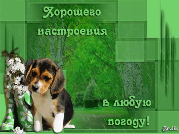 Хорошего настроения в любую п