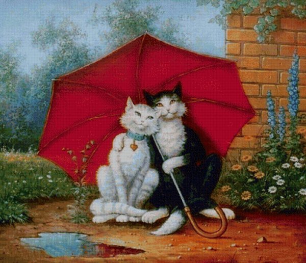 Котик под зонтиком