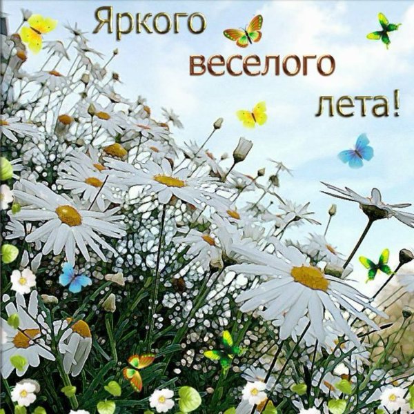 Хорошего лета открытки