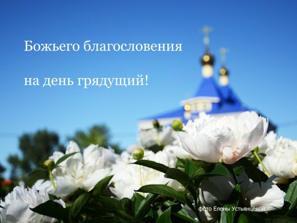 Православные красивые картинки с воскресным днем (46 фото)