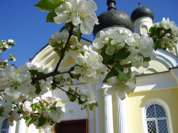 Православная Весна