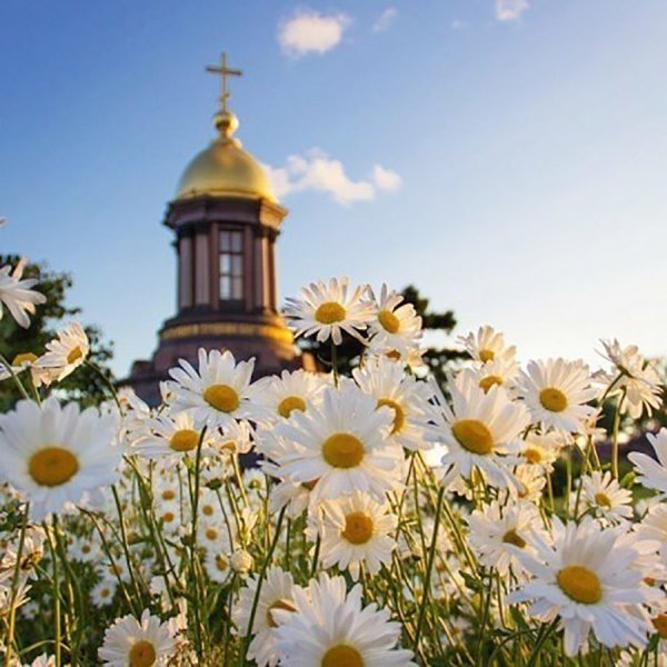 Храм и цветы