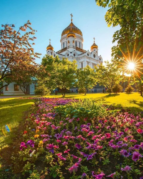 Храм Христа Спасителя цветут деревья