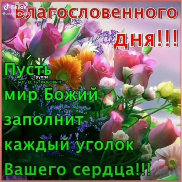 Доброе утро благословенного дня