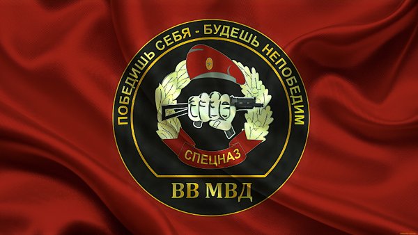 Отряд Витязь ВВ МВД РФ