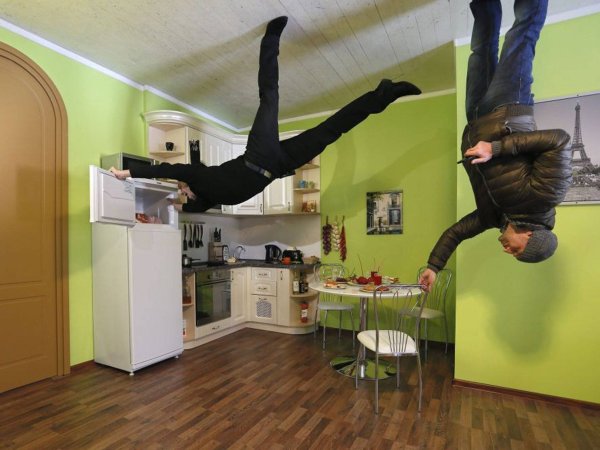 Дом вверх дном upside down House