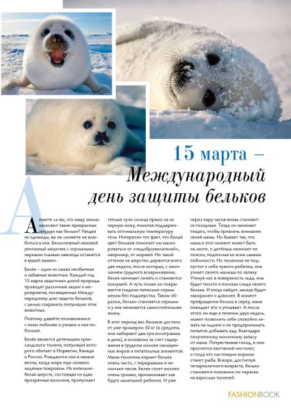 Международный день защиты Бельков детенышей тюленя