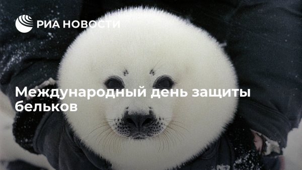15 Марта день защиты Бельков