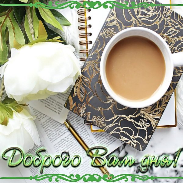 Добрый день