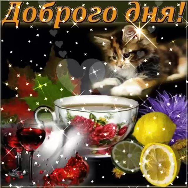 Открытки с добрым днём красивые