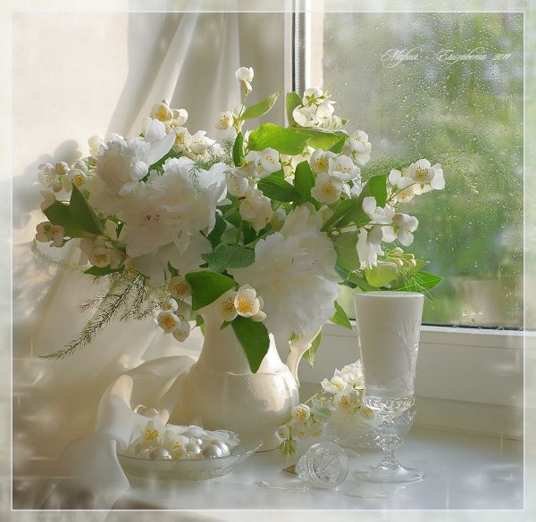 Светлого утра