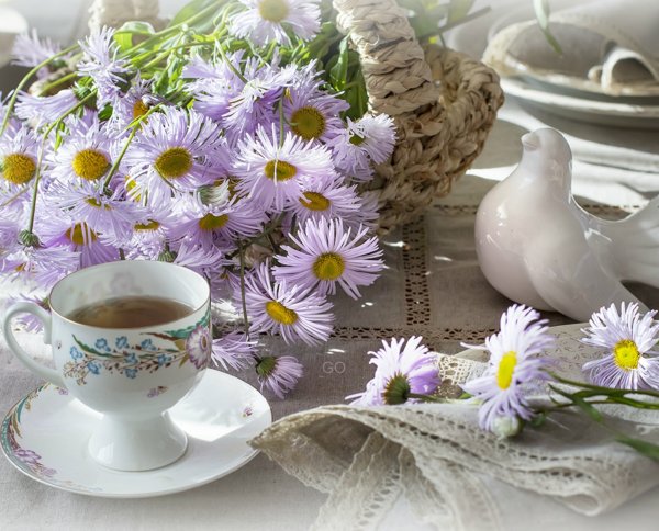 Доброе утро чудесного дня