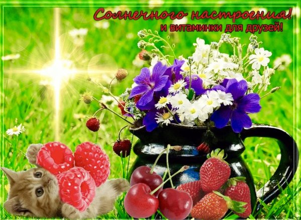 Доброго летнего утра и хорошего дня