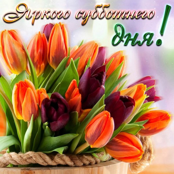 Тюльпаны для настроения