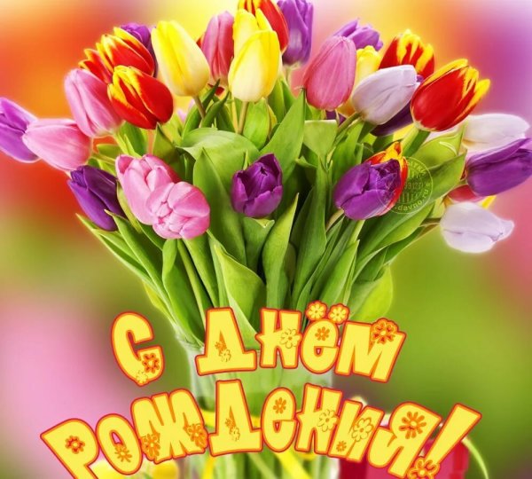 Поздравления с днём рождения