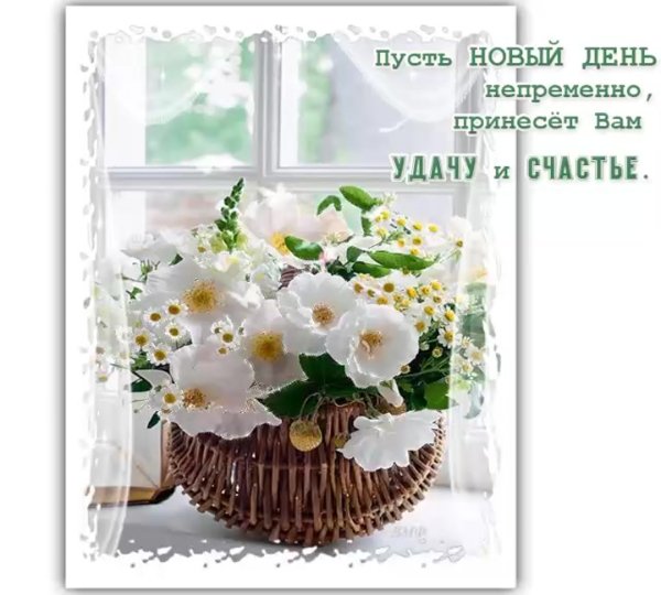 С новым чудесным днем