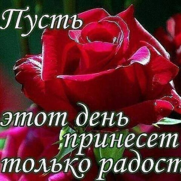 Пусть день принесет радость и удачу