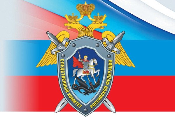 Поздравления работникам Следственного комитета