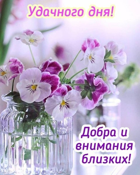 Чудесного дня и отличного настроения цветы