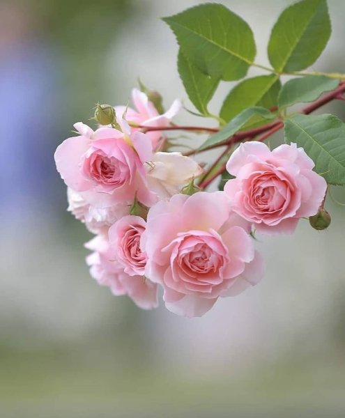 Христианские пожелания на каждый день