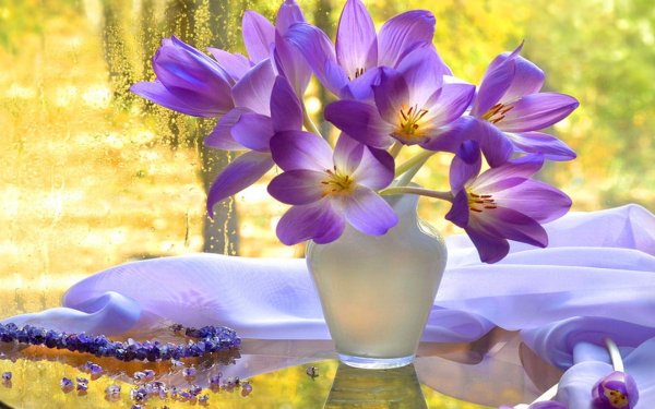 Чудесного весеннего утра и прекрасного настроения красивые