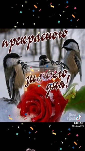Отличного зимнего воскресного дня
