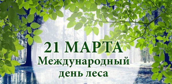 21 Марта Международный день лесов