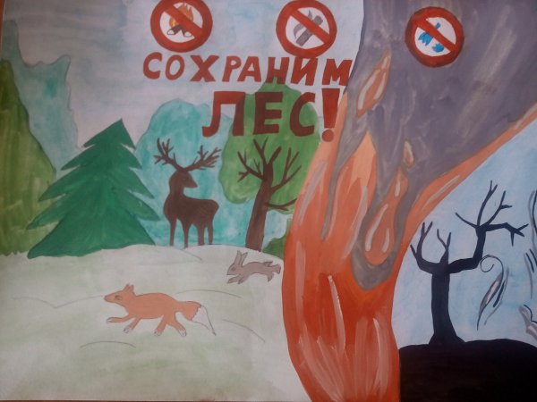 Международный день леса рисунки