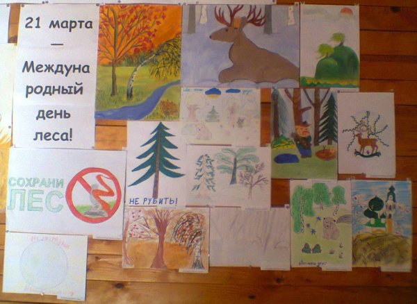 День леса