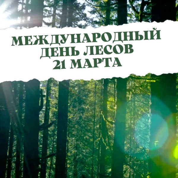 Международный день лесов