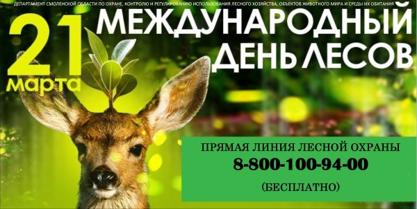 День леса в ДОУ