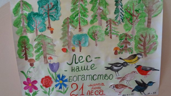 21 Марта день Международный день лесов