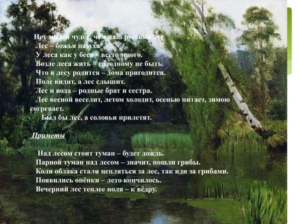 Дерево экология