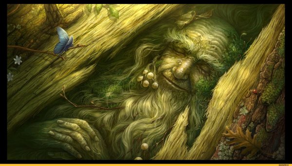 Дневник домового часть 1