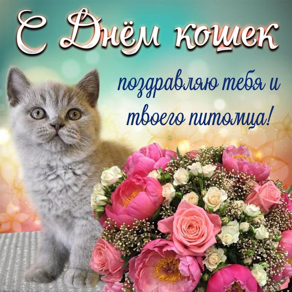 Поздравления с днём кошек