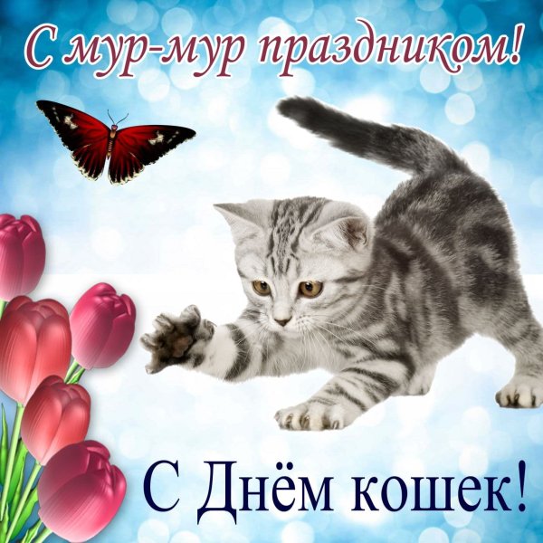 Всемирный день кошек поздравления