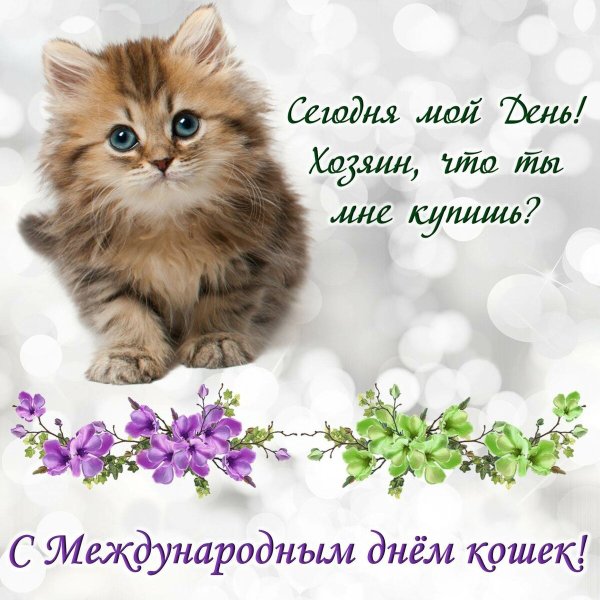 Всемирный день кошек открытки