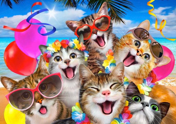 Котик с цветами