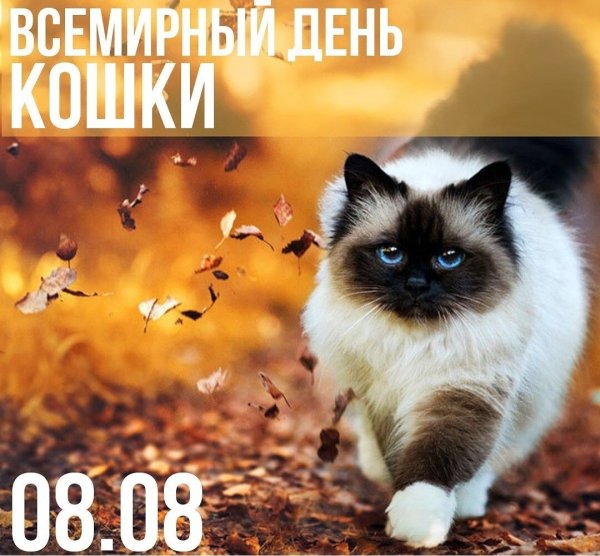 Художник Анна Холлерер
